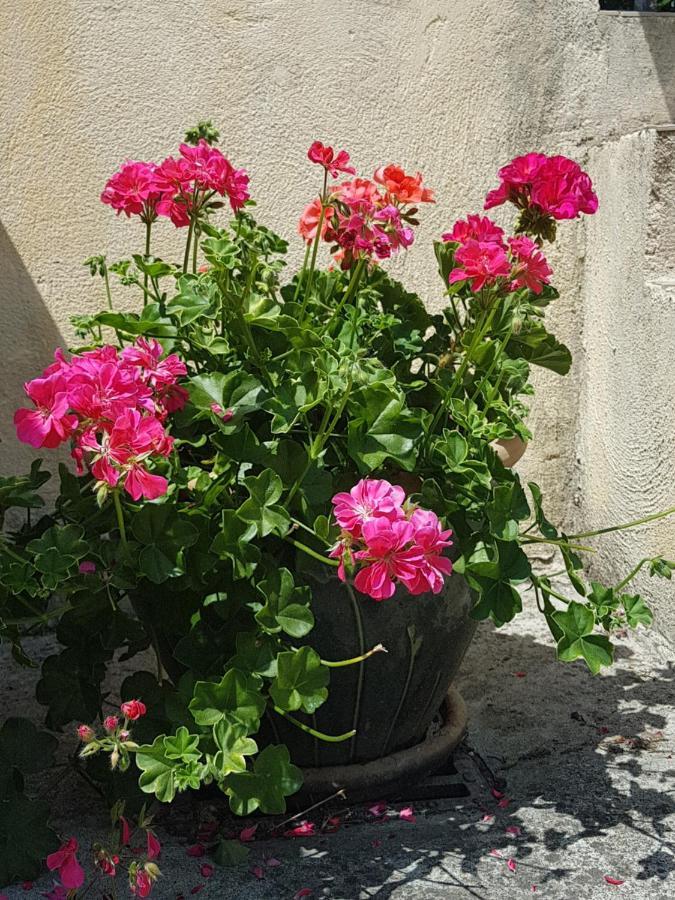 Le Clos Des Colverts Campagne-sur-Aude Esterno foto